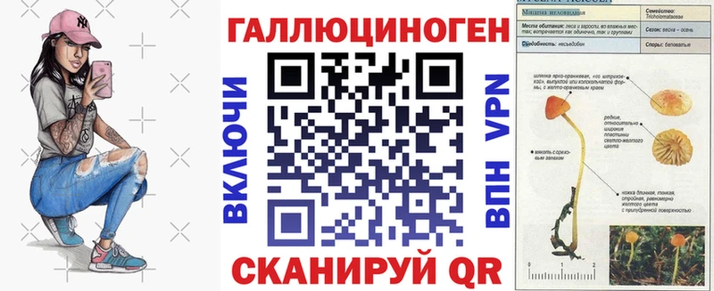 Купить где  Кстово  Галлюциногенные грибы мицелий 